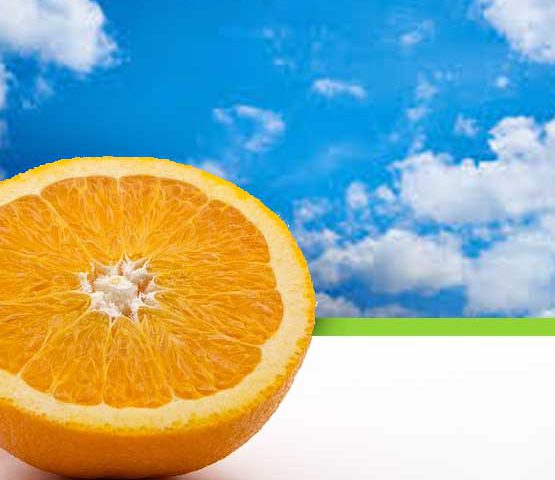 Imagen naranja 9