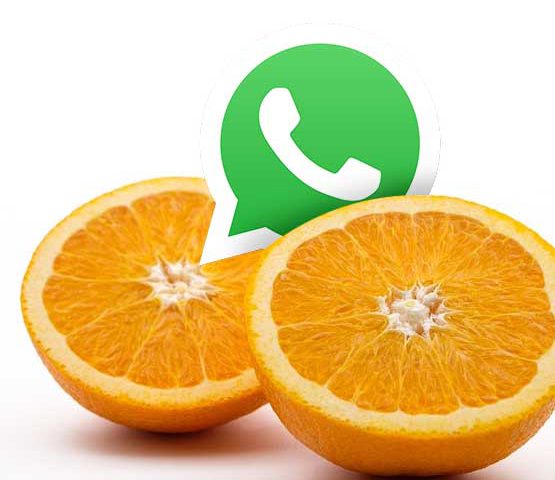 imagen naranja whatsapp 1