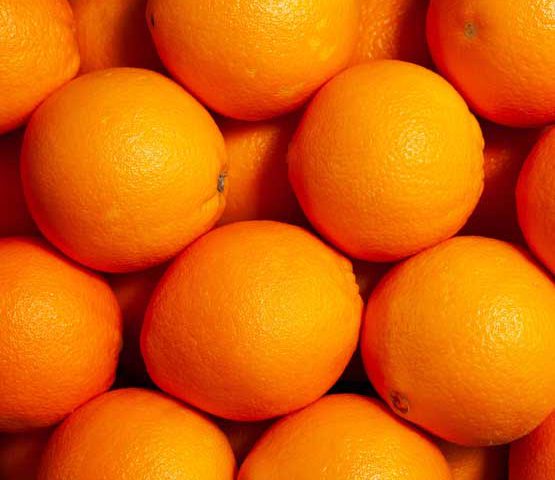 naranjas composición 1