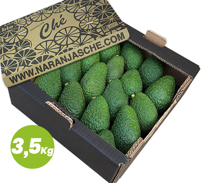 AGUACATE ECOLÓGICO - (Caja 3,5 Kg)