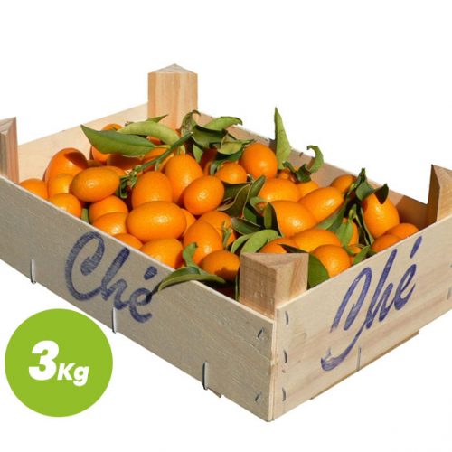 KUMQUAT Caja 3 Kg