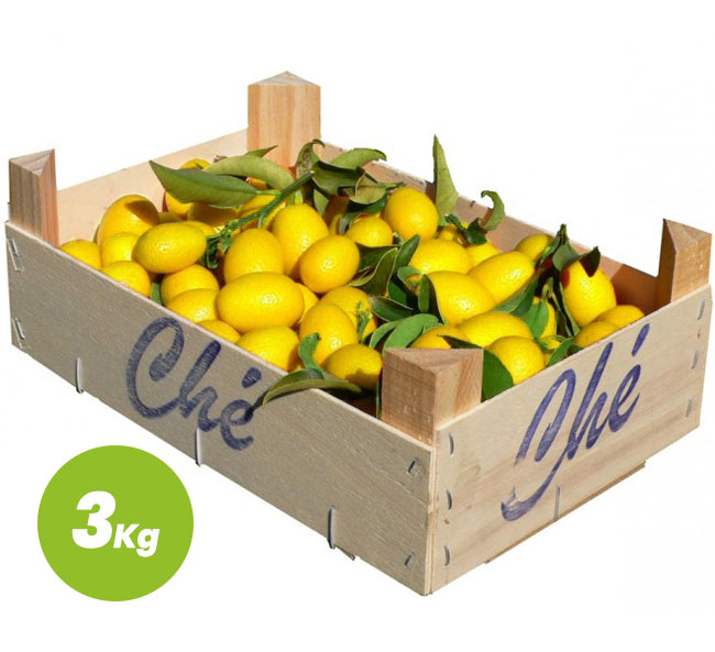 LIMEQUAT Caja 3 Kg