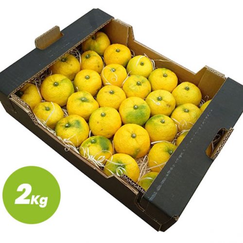 Yuzu Ecológico Amarillo