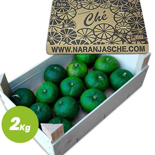 Yuzu Ecológico Verde