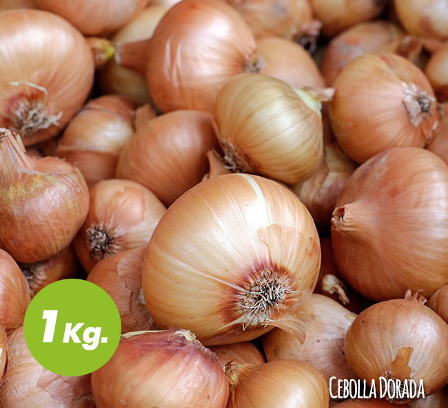 Cebolla Dorada Ecológica