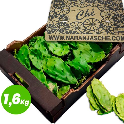 Nopal Ecológico hoja de chumbera bio