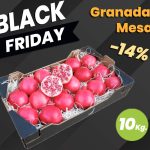 black friday 2023 GRANADA mesa 10kg